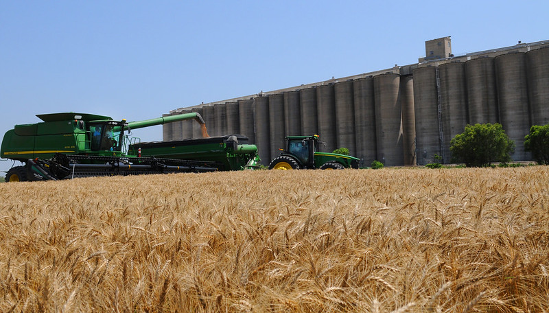 harvest pic